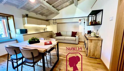 One-bedroom Loft Apartment 