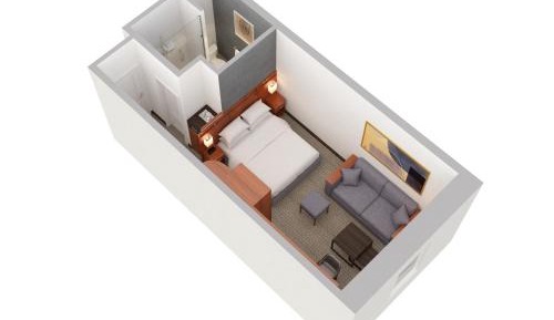 King Room with Sofa Bed