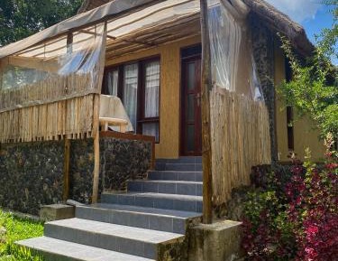 Deluxe Double or Twin Room with River View