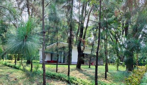 One-Bedroom Villa