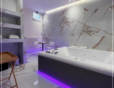 One-Bedroom Premier Apartment