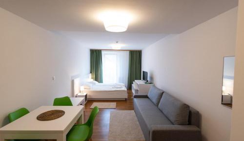 Studio with Sofa Bed