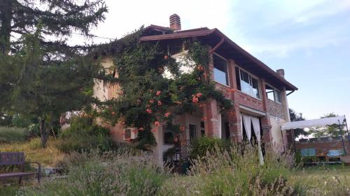 Superior Villa