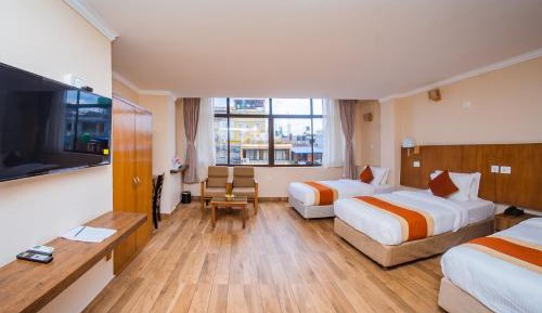 Deluxe Double or Twin Room with City View