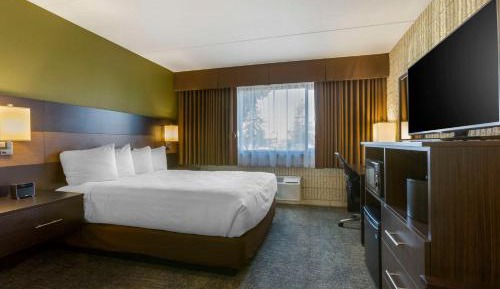 King Room - Non-Smoking
