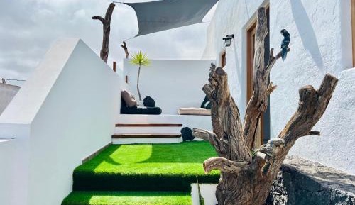 Studio with Terrace