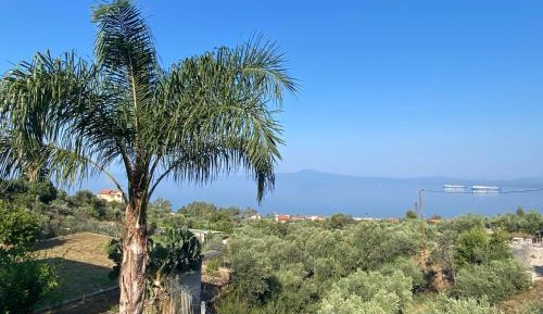 Double Room with Balcony and Sea View