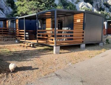 Mobile Home