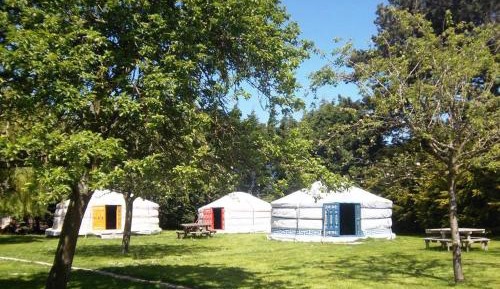 Tent