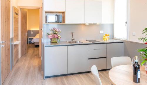 Comfort One-Bedroom Apartment (2-4 people)