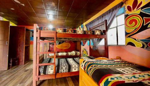 Bed in 6-Bed Mixed Dormitory Room
