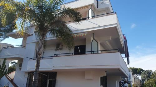 Studio with Terrace