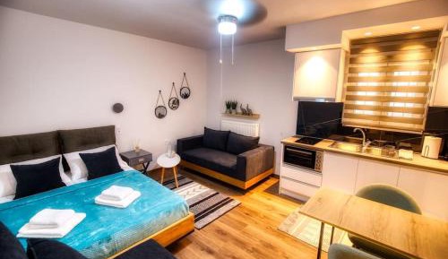 Studio Apartment