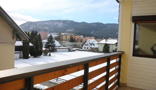 One-Bedroom Apartment with Mountain View