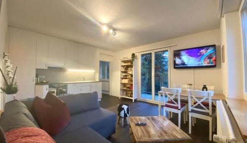 Apartment with Lake View