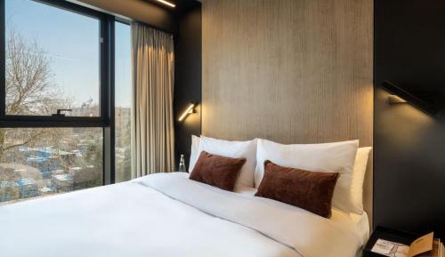 One Bedroom Suite