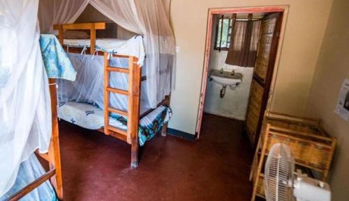 Bunk Bed in Mixed Dormitory Room