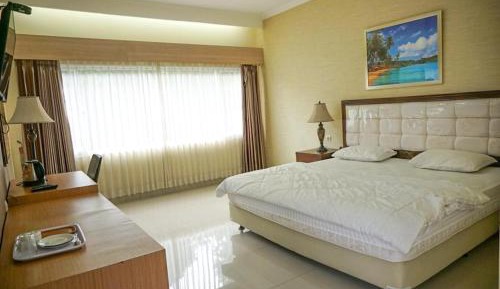 Superior Double or Twin Room with Mountain View
