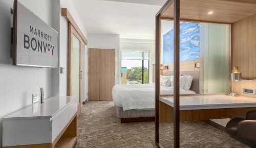 King Suite with Sofa Bed