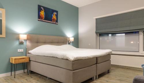 Comfort Plus Room