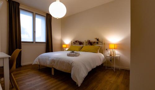 Large Double or Twin Room