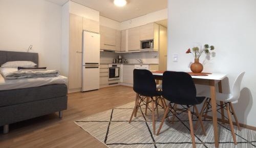 Studio Apartment