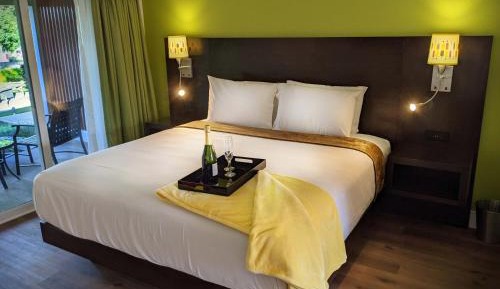 Large Single Room
