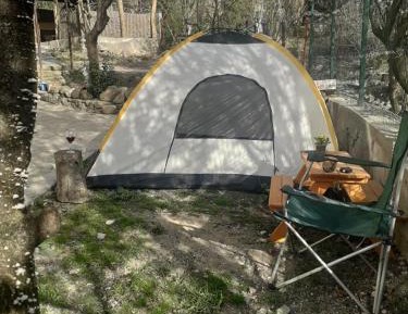 Tent