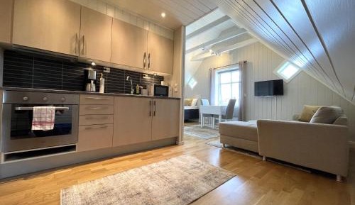 Penthouse Apartment