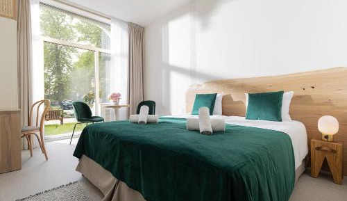 Deluxe Double or Twin Room