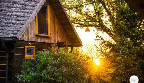 One-Bedroom Chalet