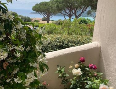 Studio Apartment with Sea View (near Road)