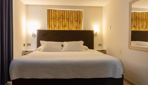 King Room with Spa Bath