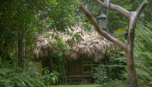 Standard Bungalow