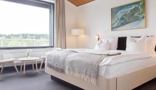 Deluxe Single Room