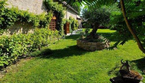 Double Room with Patio