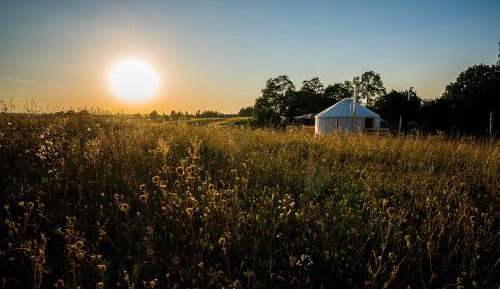 Tent