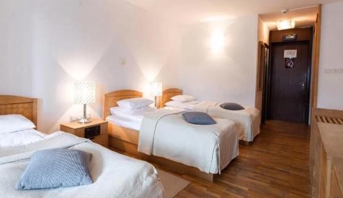 Single Bed in 10-Bed Dormitory Room