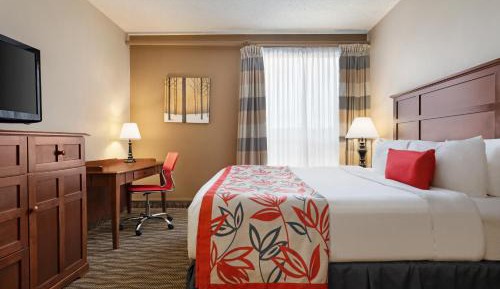 King Room with Sofa Bed - Pet-Friendly/Non-Smoking