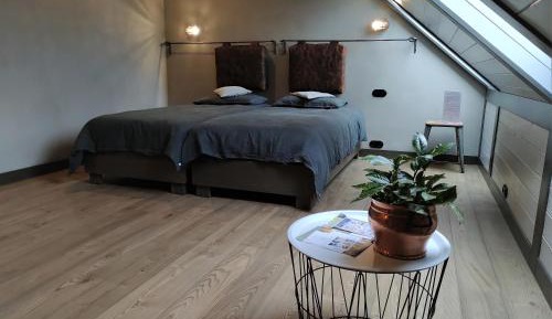 Large Double or Twin Room