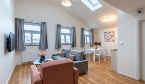 Luxury One Bedroom Attic Apartment