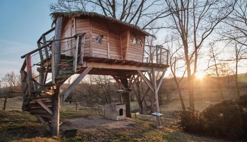 Treehouse