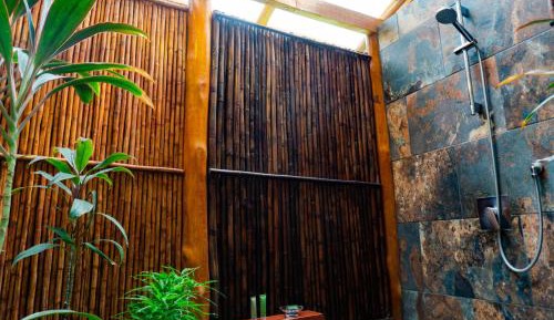 Superior King Room with Tropical Shower