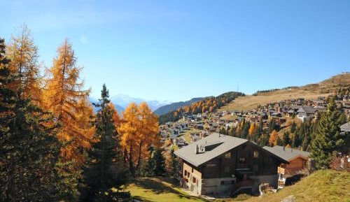 Two-Bedroom Chalet (3 Adults)