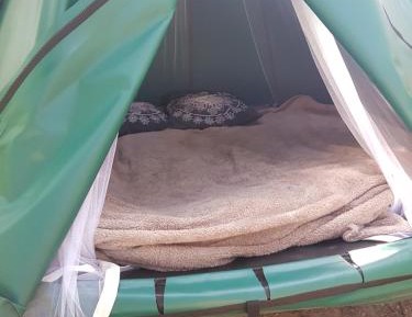 Tent