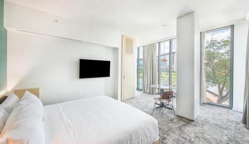 Deluxe King Suite