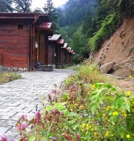 One-Bedroom Chalet