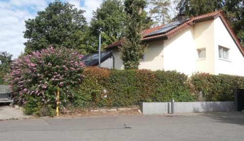 Standard Apartment
