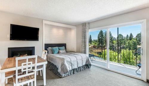 Ground-Floor Studio with River View - No Pets 