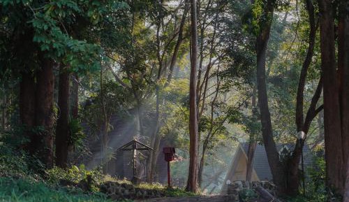 Chalet Studio